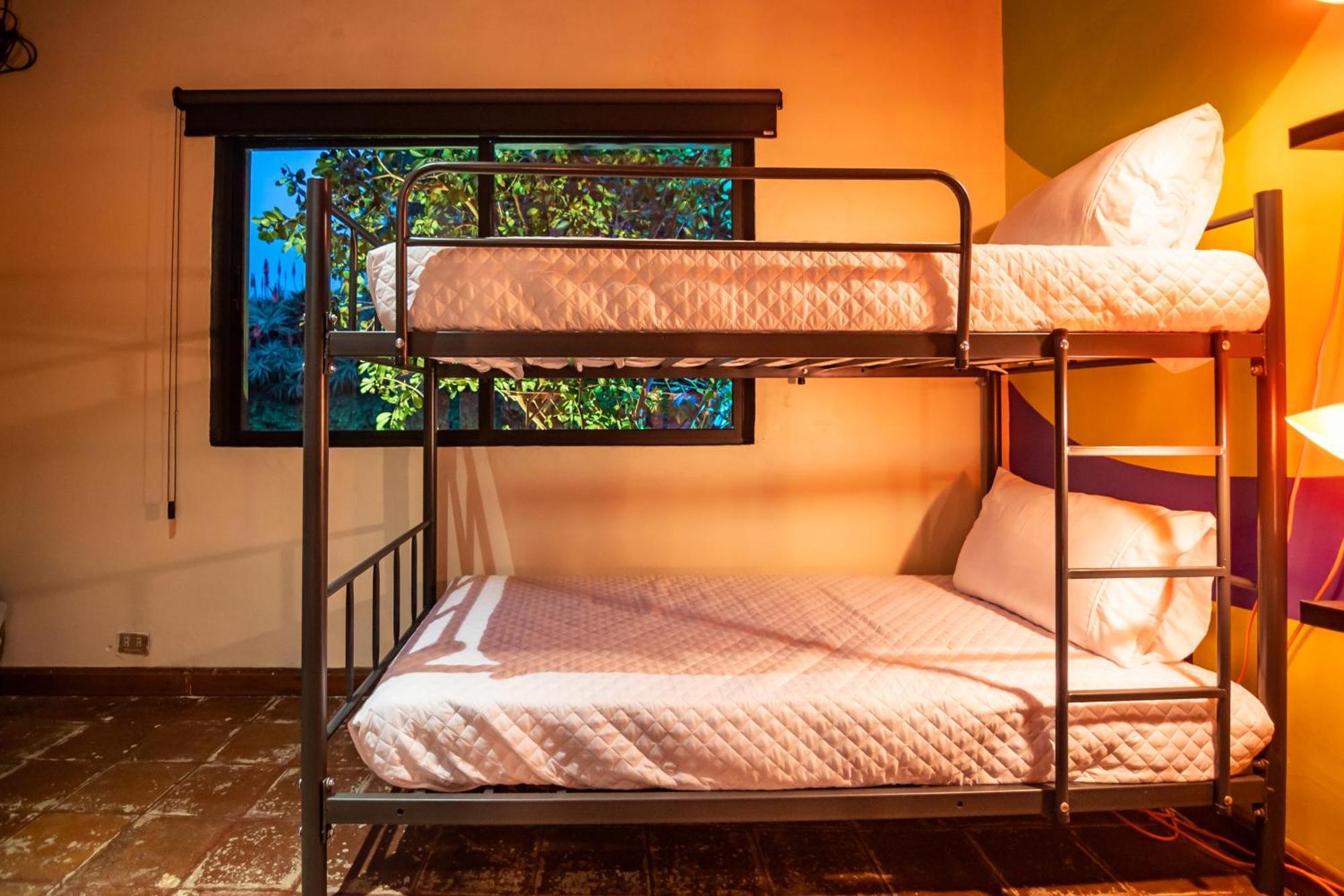 Yes Please! Hostel Antigua Rum bild