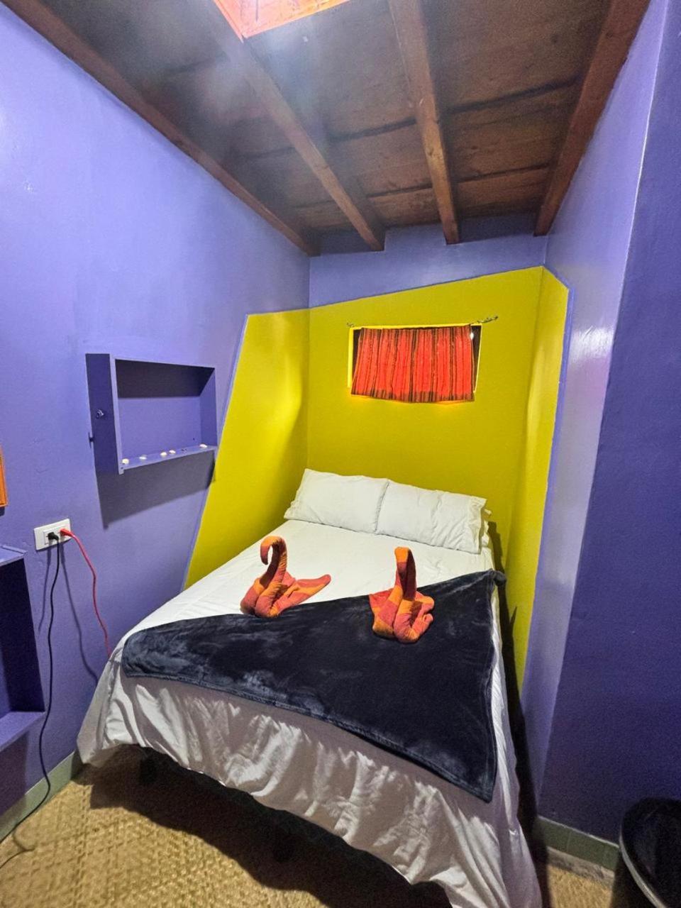 Yes Please! Hostel Antigua Rum bild